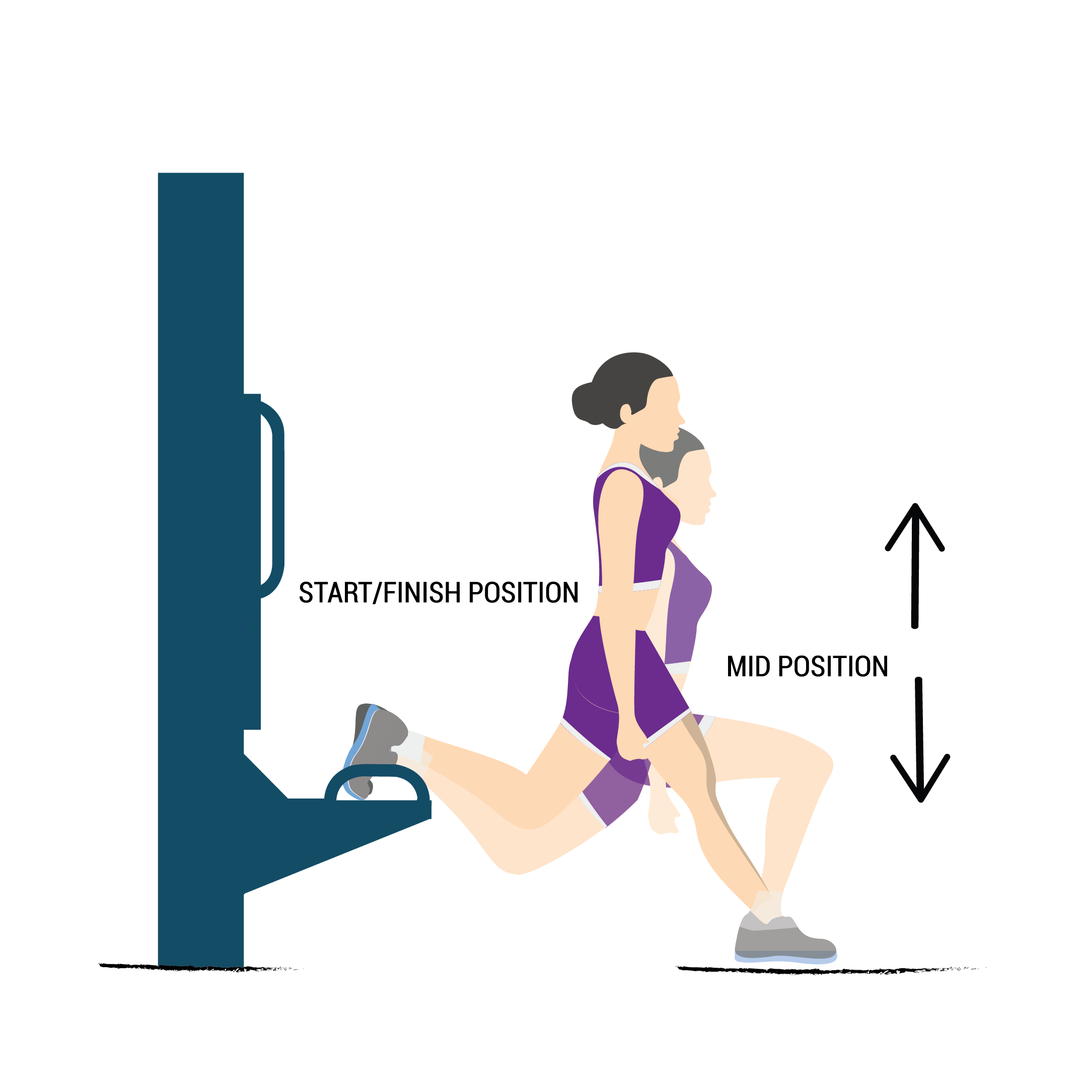 bulgarian split squat illustration
