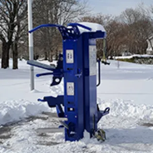 Apollo outdoors in winter