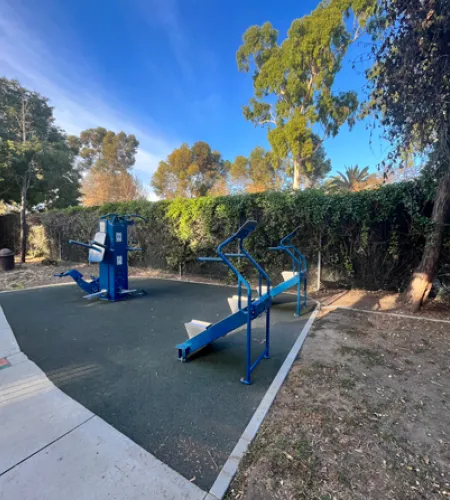 Apollo Multigym and Everest Cardio Climber 